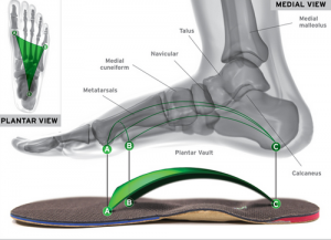 Orthotics_page_image